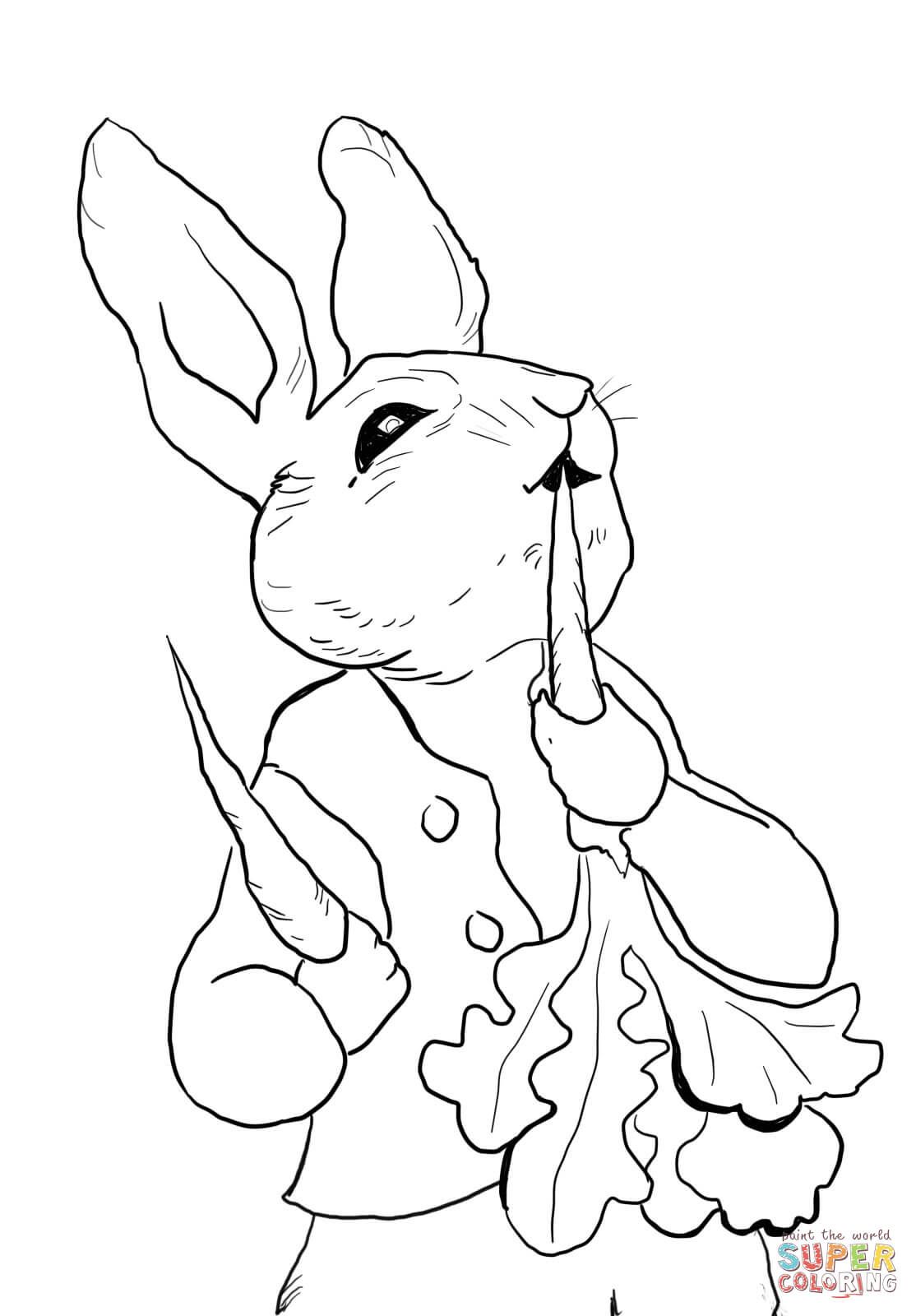 Peter Rabbit Coloring Pages Printable Bunny Application 1114x1600 Peter Rabbit Coloring Pages Printable Bunny Application