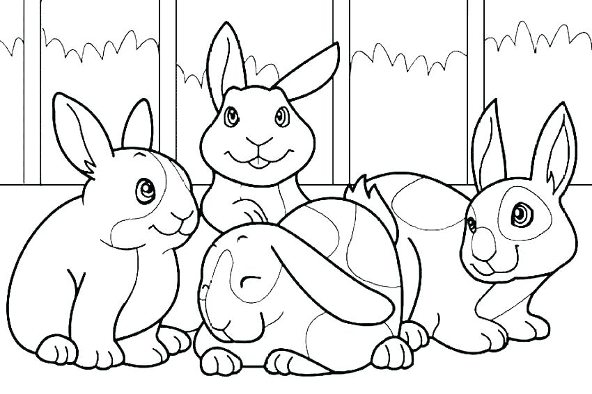 Peter Rabbit Colouring Pages Printable Coloring Peter Rabbit 850x567 Peter Rabbit Colouring Pages Printable Coloring Peter Rabbit