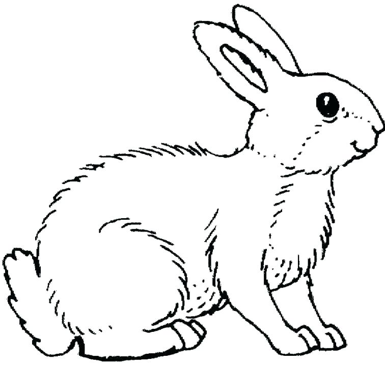 Bunny Coloring Page Bunny Coloring Page Bunnies Coloring Pages 756x716 Bunny Coloring Page Bunny Coloring Page Bunnies Coloring Pages