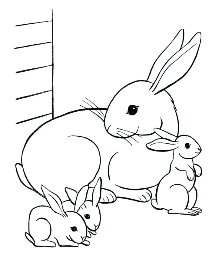 Coloring Bunny Printable Coloring Pages Free Rabbit Sheets 700x856 Coloring Bunny Printable Coloring Pages Free Rabbit Sheets