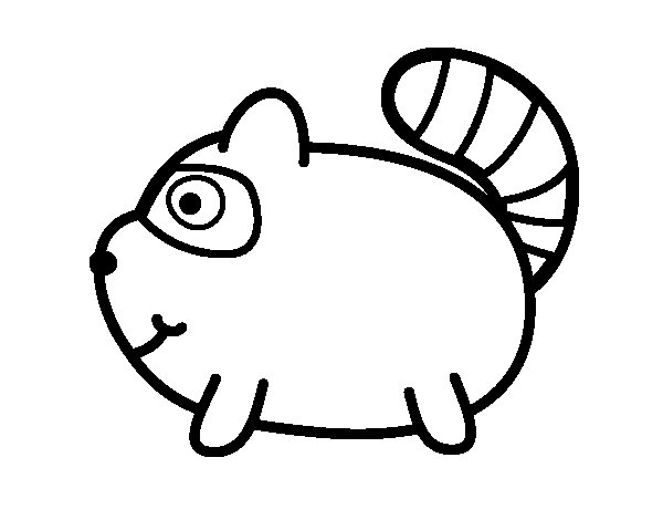 600x470 Young Raccoon Coloring Page