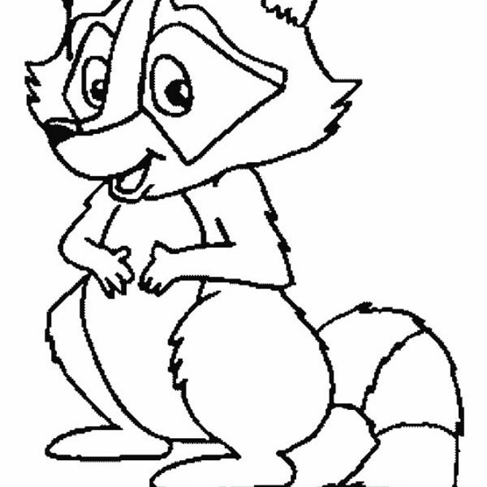 960x960 Get This Free Raccoon Coloring Pages To Print 33958 Racoon