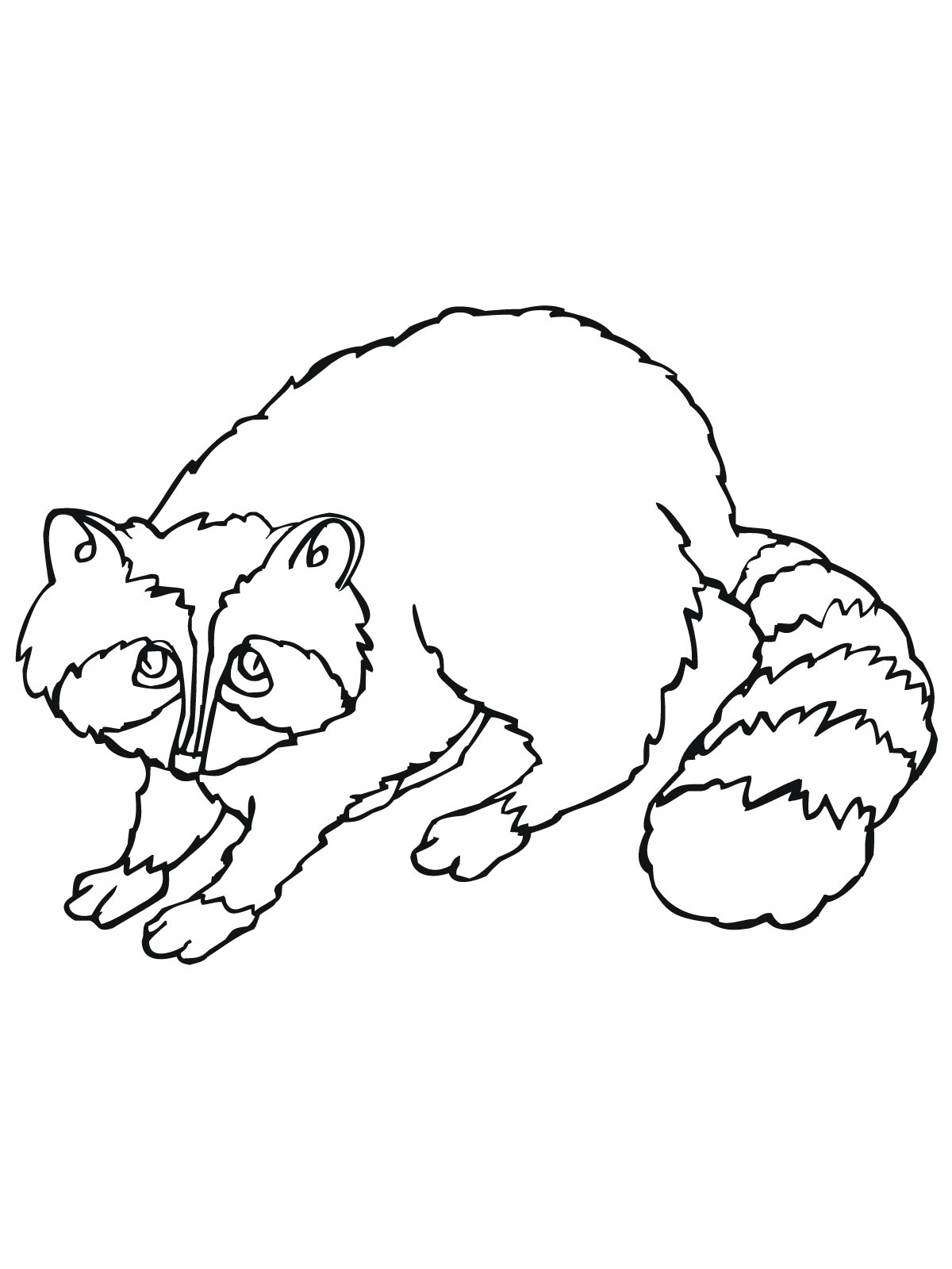 1200x1600 Popular Raccoon Coloring Page 93 9446 Raccoon Coloring Page