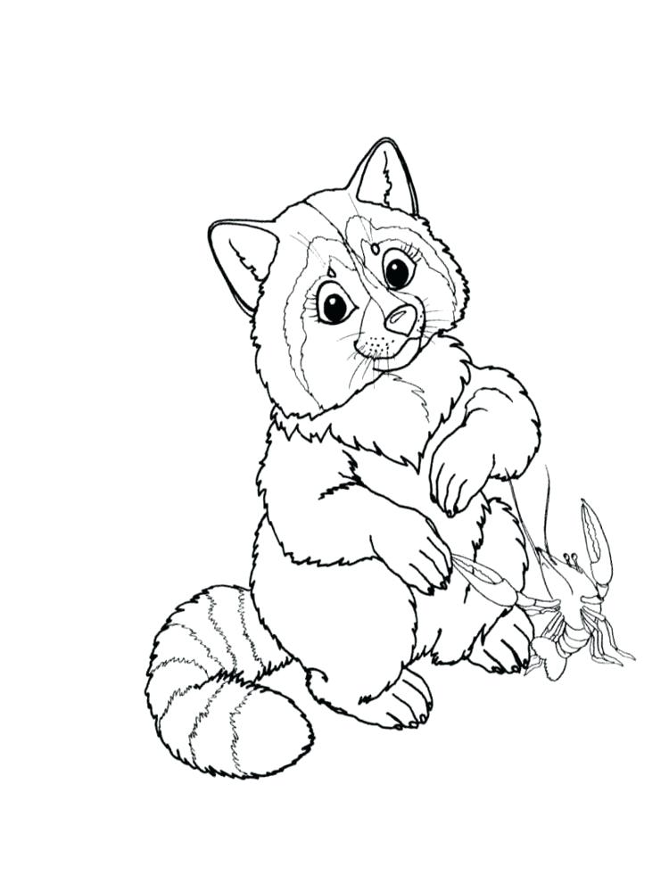 750x1000 Cartoon Raccoon Coloring Pages Raccoon Coloring Pages Raccoon