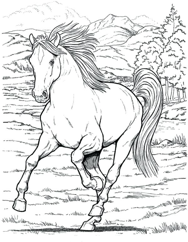 600x771 Horse Color Page Wild Horse Coloring Pages To Print Horse Racing