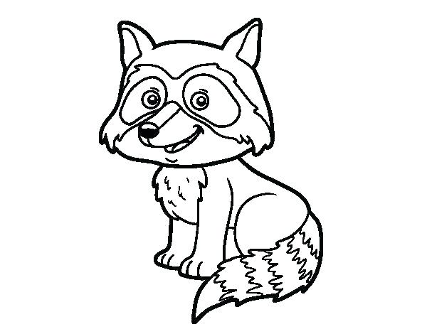 Raccoon Coloring Pages Raccoon Coloring Pages Coloring Pages 600x470 Raccoon Coloring Pages Raccoon Coloring Pages Coloring Pages