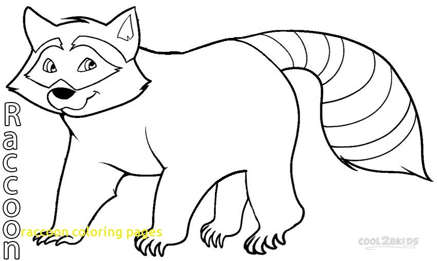 Raccoon Coloring Pages With Printable Raccoon Coloring Pages 850x509 Raccoon Coloring Pages With Printable Raccoon Coloring Pages