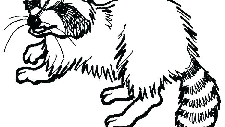 Racoon Coloring Page Coloring Pages Online Hard Raccoon Sheet 750x425 Racoon Coloring Page Coloring Pages Online Hard Raccoon Sheet