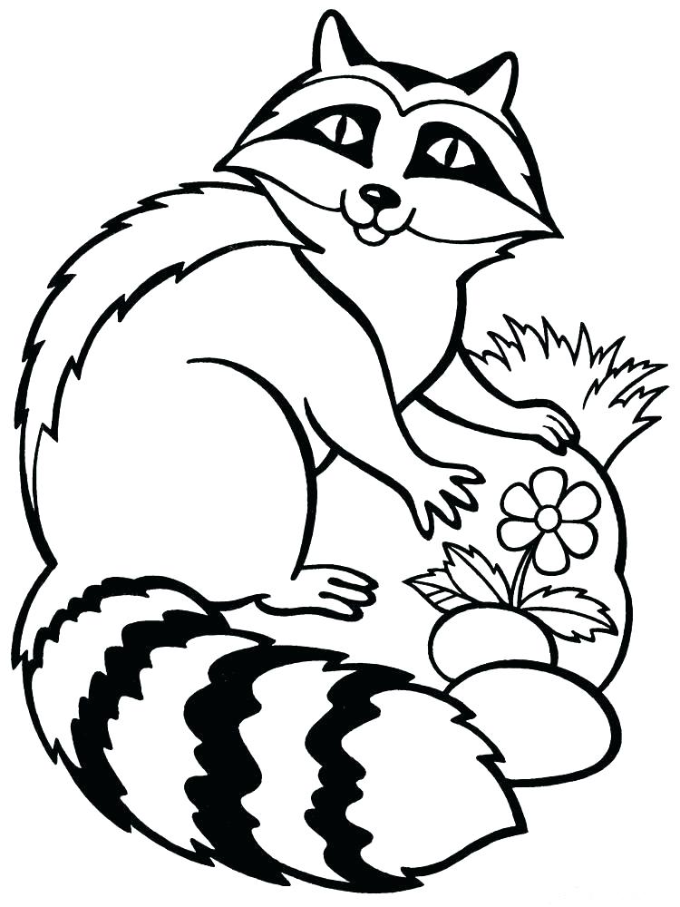 Racoon Coloring Page Rocket Coloring Page Rocket Ship On Earth 750x1000 Racoon Coloring Page Rocket Coloring Page Rocket Ship On Earth