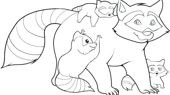 Coloring Page Coloring Page Raccoon Coloring Pages Raccoon 585x329 Coloring Page Coloring Page Raccoon Coloring Pages Raccoon