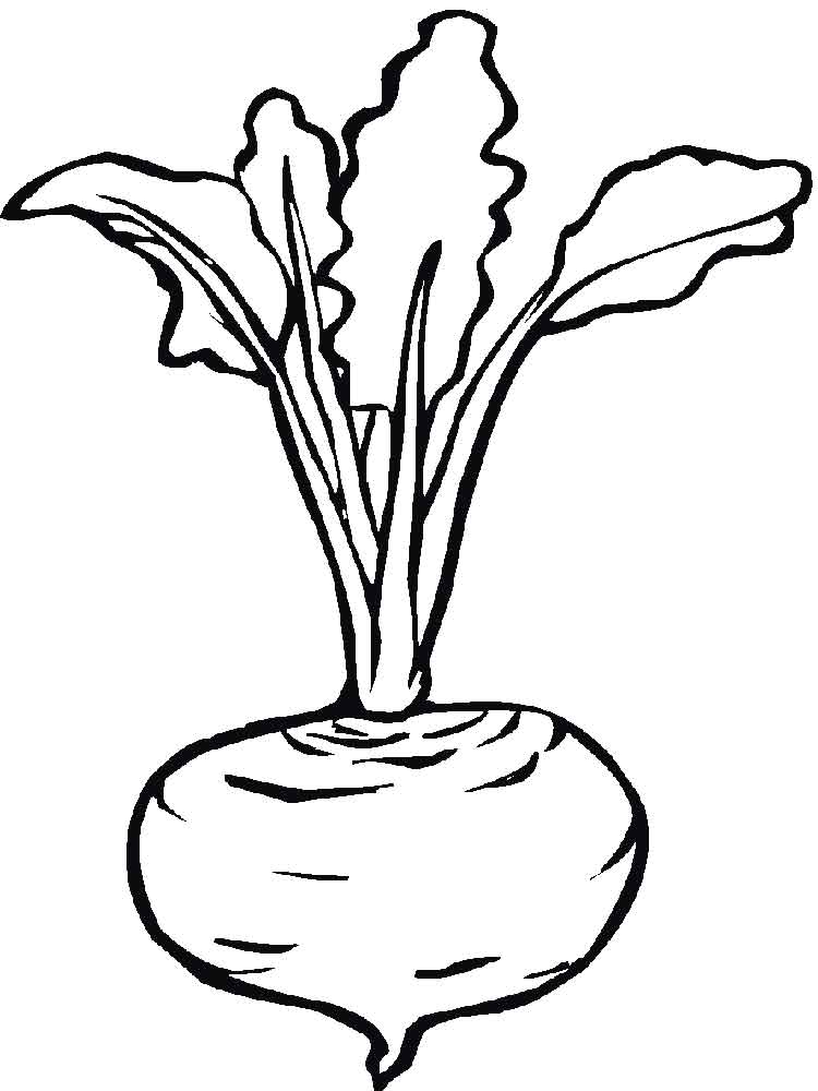 Radish Coloring Page