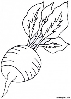 Printable Vegetable Radish Coloring Page 243x338 Printable Vegetable Radish Coloring Page