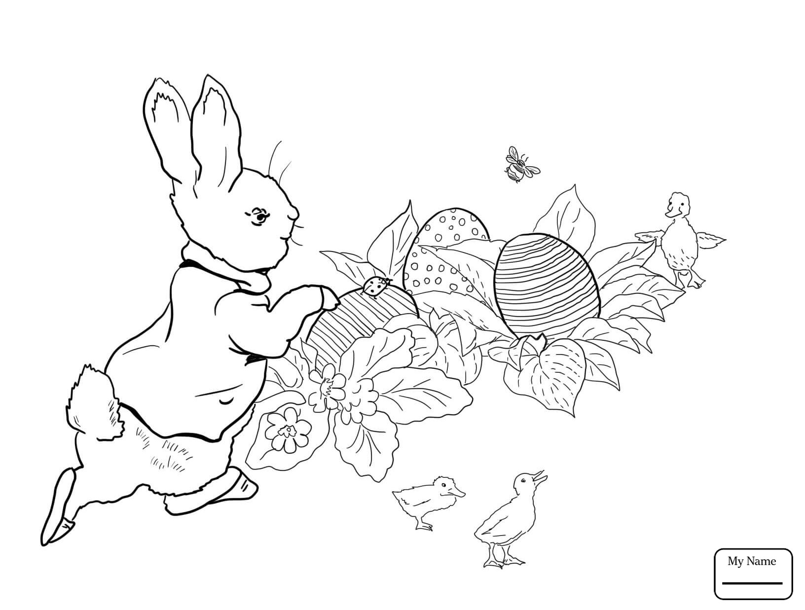 Best Of Peter Rabbit Coloring Pages Gallery Printable Coloring Sheet 1632x1237 Best Of Peter Rabbit Coloring Pages Gallery Printable Coloring Sheet