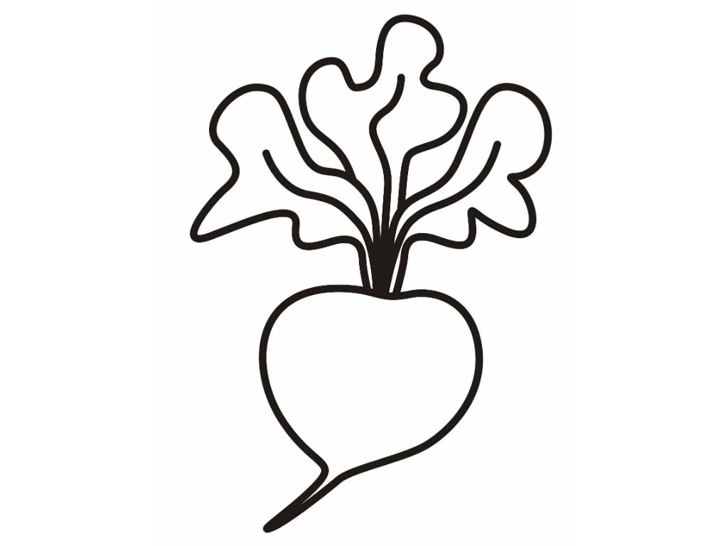 Cloring pages Radish Colouring Pages Coloring Pages 1024x768 Cloring pages Radish Colouring Pages Coloring Pages