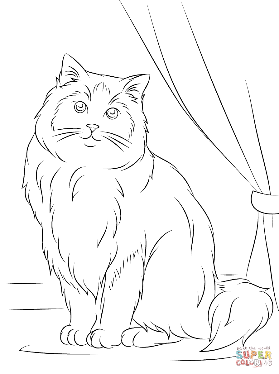 Himalayan Cat Coloring Pages Collection Coloring For Kids 2018 895x1200 Himalayan Cat Coloring Pages Collection Coloring For Kids 2018
