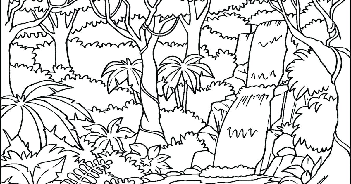 1200x630 Rainforest Coloring Page Tropical Coloring Pages Coloring Pages