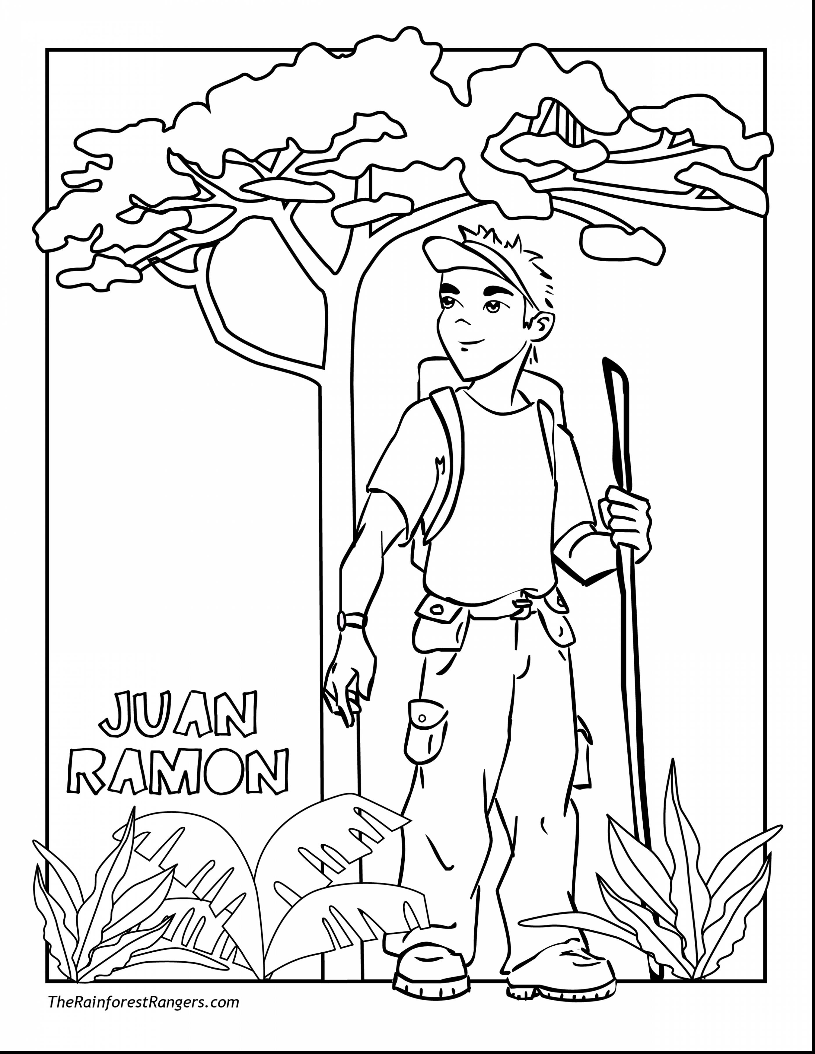 2805x3630 Bargain Tropical Rainforest Coloring Page Pages New To Print