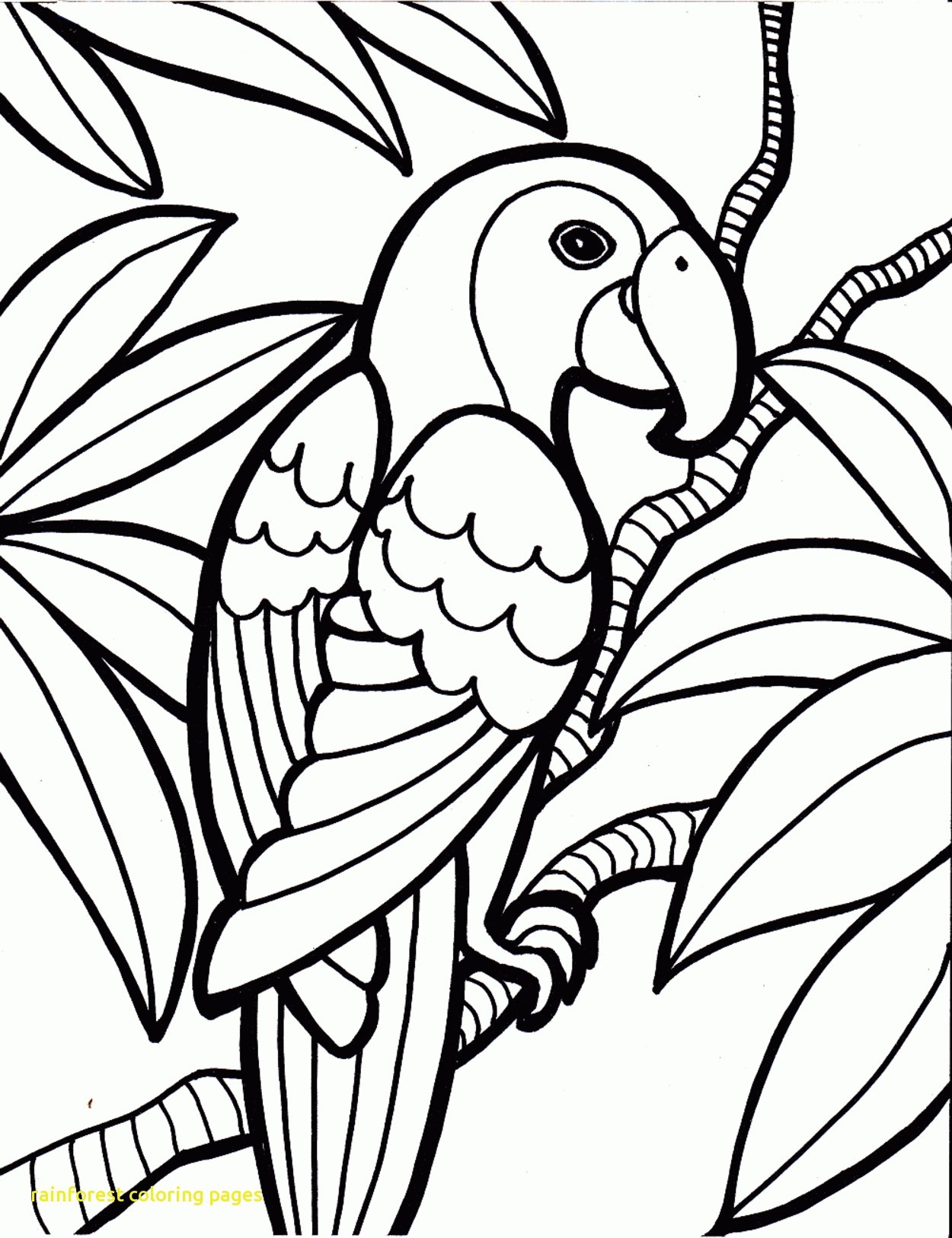 1250x1626 Coloring Pages Rainforest Best Of Rainforest Coloring Pages
