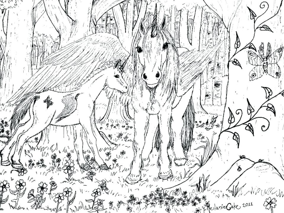 Printable Unicorn Coloring Pages Plus Unicorn And Rainbow Coloring 960x720 Printable Unicorn Coloring Pages Plus Unicorn And Rainbow Coloring