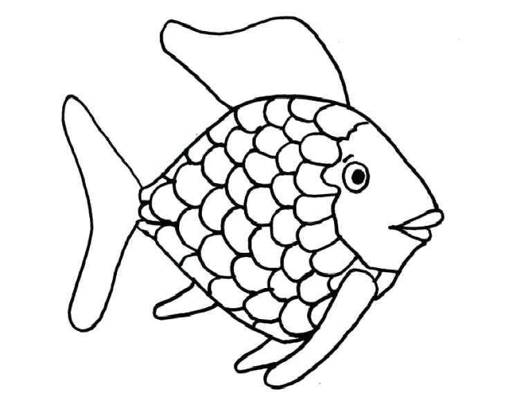730x569 Rainbow Coloring Page Fish Coloring Pages Fish Coloring Page Fish