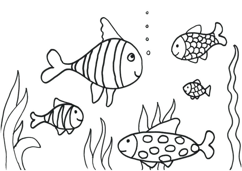 1024x723 Rainbow Fish Coloring Page Free Pages For Kids 5 Fuhrer Von