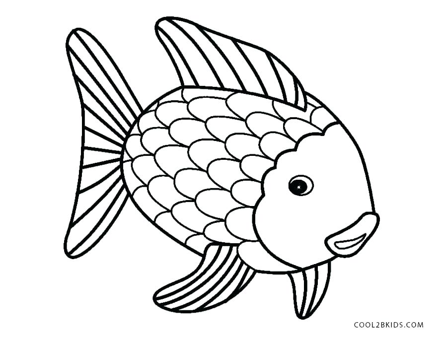 890x689 Color Coloring Pages Fish Outline Coloring Page X Ray Fish
