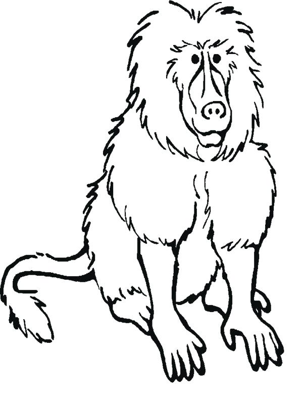 600x800 Printable Images Of Rainforest Animals Animals Coloring Pages