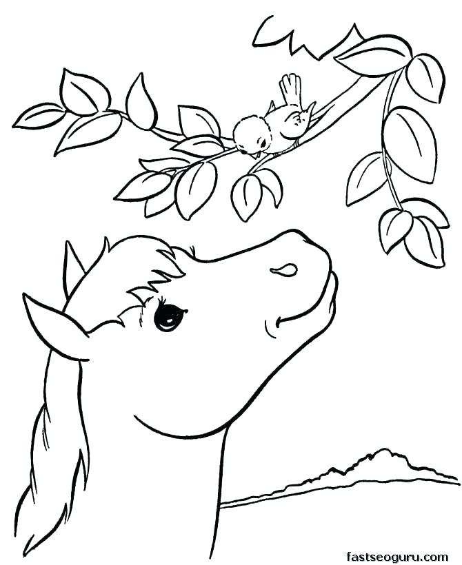 670x820 Rainforest Animal Coloring Pages Animal Coloring Pages Animal