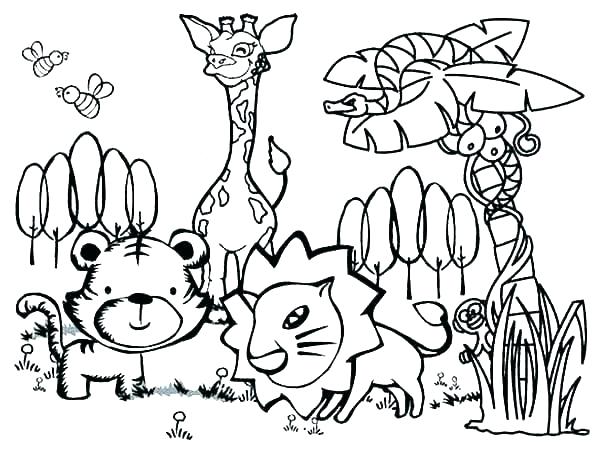 600x452 Rainforest Animal Coloring Pages Forest Animals Coloring Pages