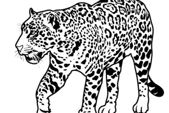 330x220 Vibrant Rainforest Animals Coloring Pages Amazon Of Endangered