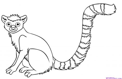 469x304 Rainforest Animal Coloring Pages Just Colorings