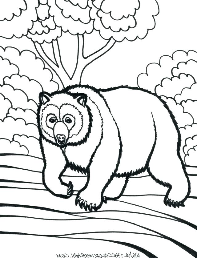 640x838 Coloring Pages Of Rainforest Animals Wildlife Coloring Pages