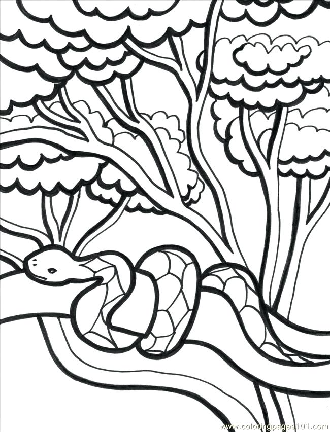 Tropical Coloring Pages Adult Coloring Book Coloring Page 650x852 Tropical Coloring Pages Adult Coloring Book Coloring Page