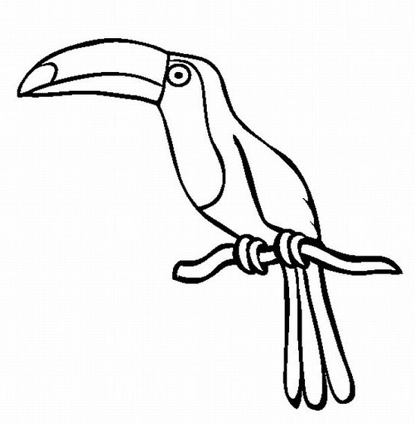 Rainforest Animal Coloring Pages Coloring Kids 600x612 Rainforest Animal Coloring Pages Coloring Kids