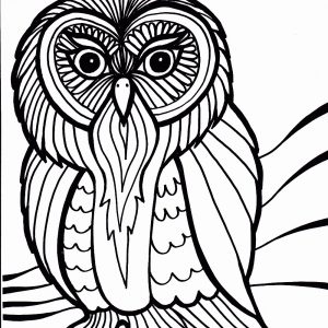 Coloring Pages Of Birds In The Rainforest Best Of Drawn Animal 300x300 Coloring Pages Of Birds In The Rainforest Best Of Drawn Animal