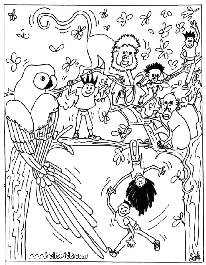 700x900 Rainforest Coloring Page Awesome Tropic Coloring Page Rainforest