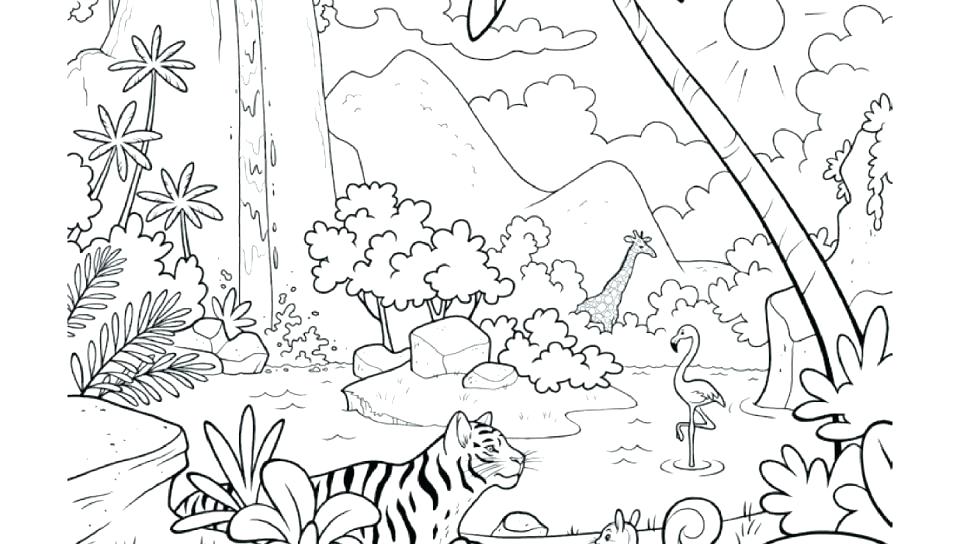 960x544 Tropical Rainforest Coloring Pages Best Coloring Page For Kids