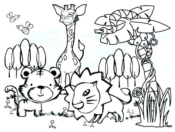 600x452 Tropical Rainforest Coloring Pages Free Tropical Coloring Pages