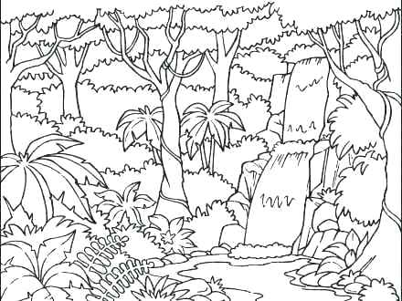 440x330 Tropical Rainforest Coloring Pages Monkey Hanging On Snake