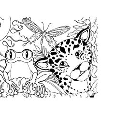 236x236 Rainforest Color Pictures Rainforest (Amazon) Coloring Page