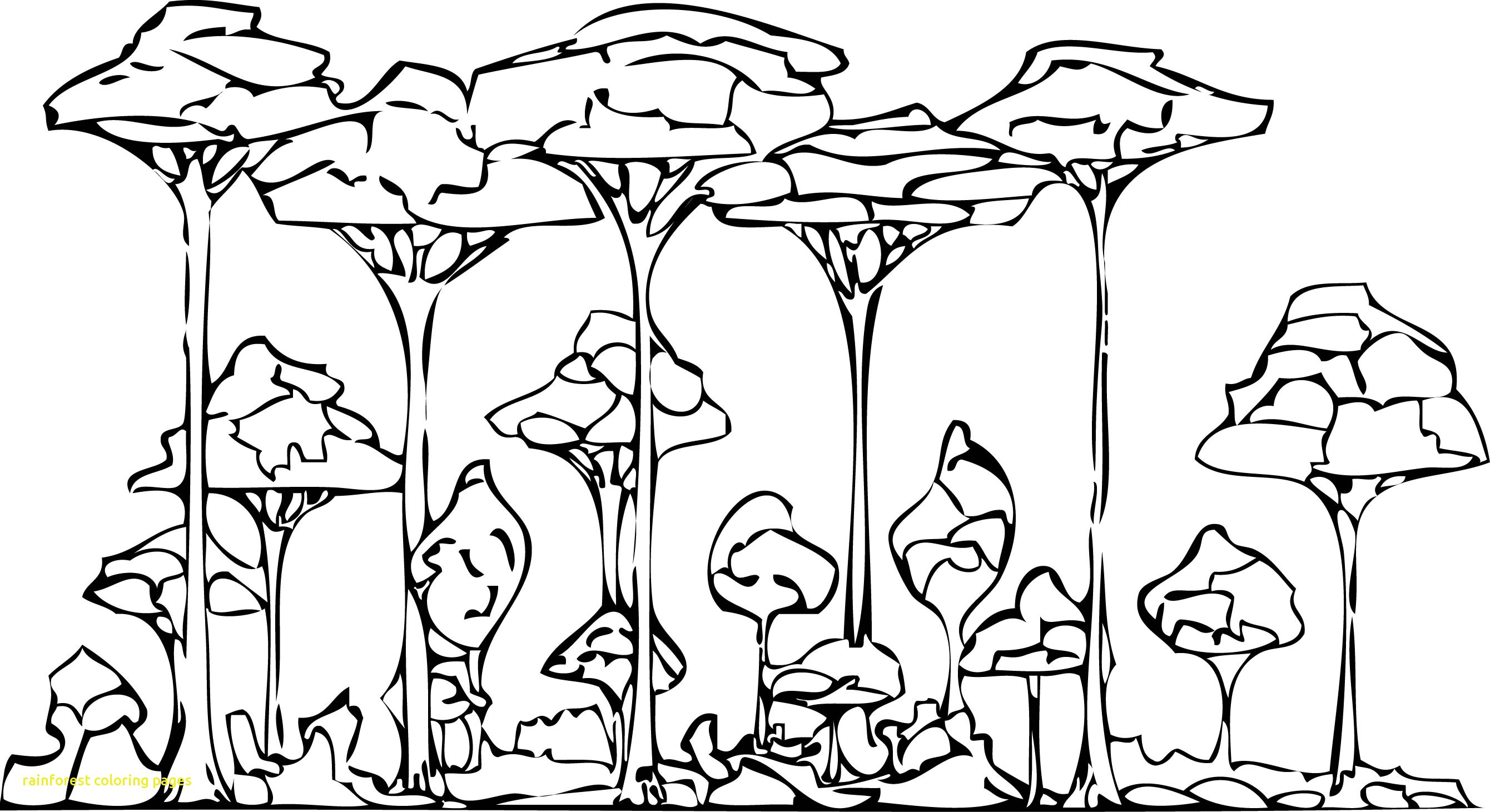 2680x1461 Top Rainforest Coloring Pages To Print Launching Hidden Pictures
