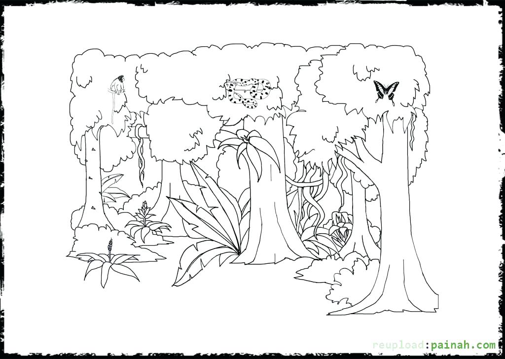 1024x728 Here Are Tropical Rainforest Coloring Pages Images Free Printable