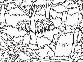 Printable Rainforest Coloring Pages Rainforest Coloring Pages 320x240 Printable Rainforest Coloring Pages Rainforest Coloring Pages