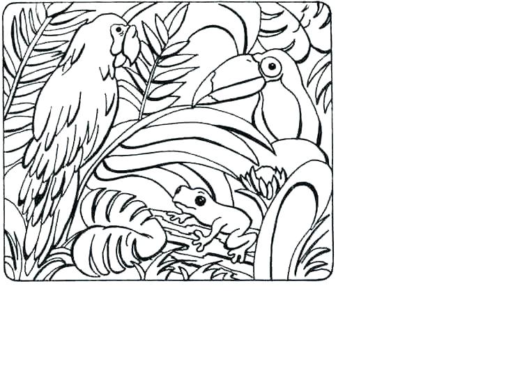 Rainforest Coloring Page Coloring Pages Printable Coloring Pages 736x552 Rainforest Coloring Page Coloring Pages Printable Coloring Pages