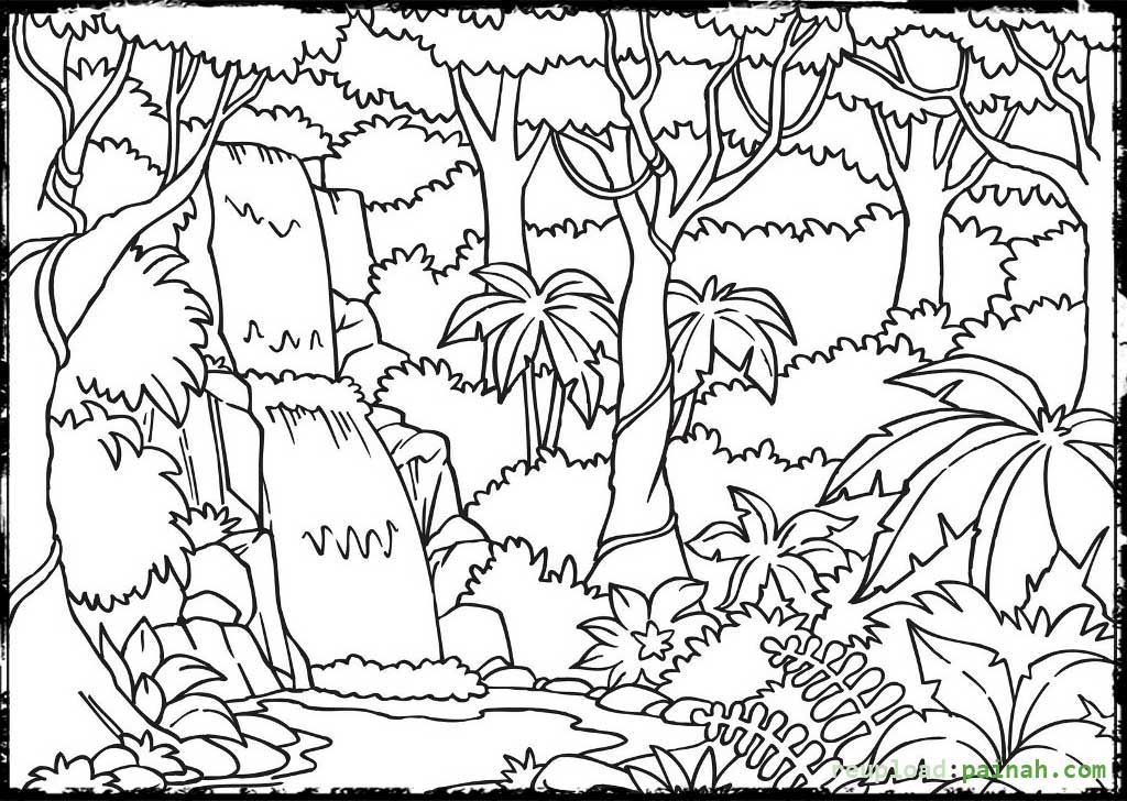 Rainforest Coloring Pages Rainforests 1024x728 Rainforest Coloring Pages Rainforests