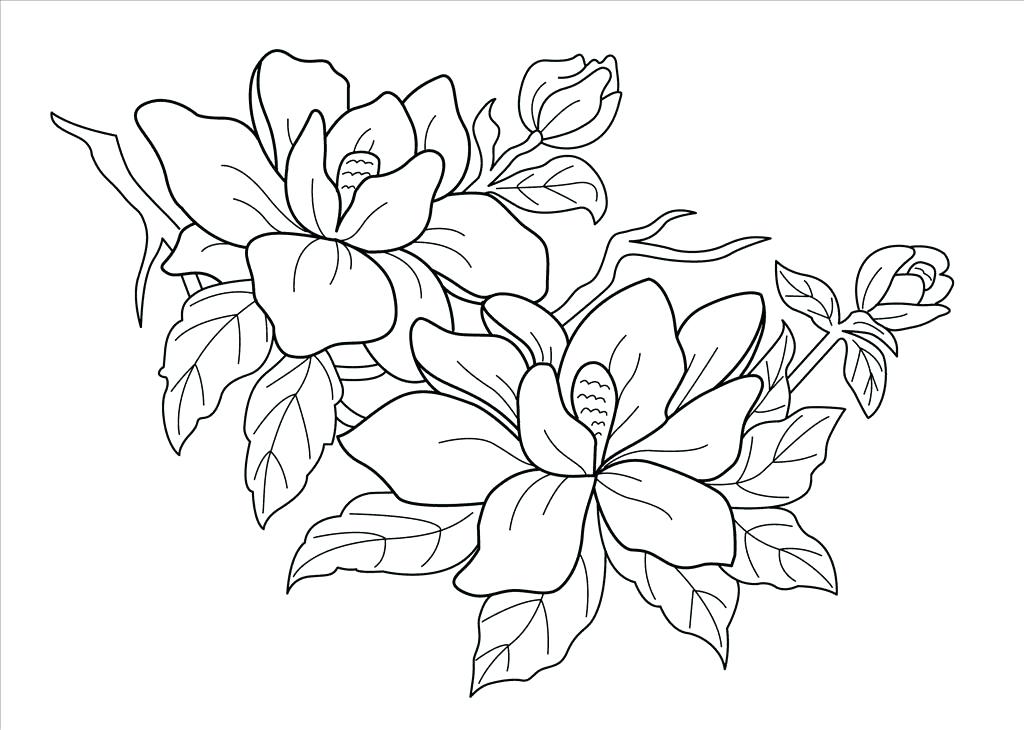 Rainforest Coloring Pages Free Coloring Pages Free Coloring Pages 1024x730 Rainforest Coloring Pages Free Coloring Pages Free Coloring Pages