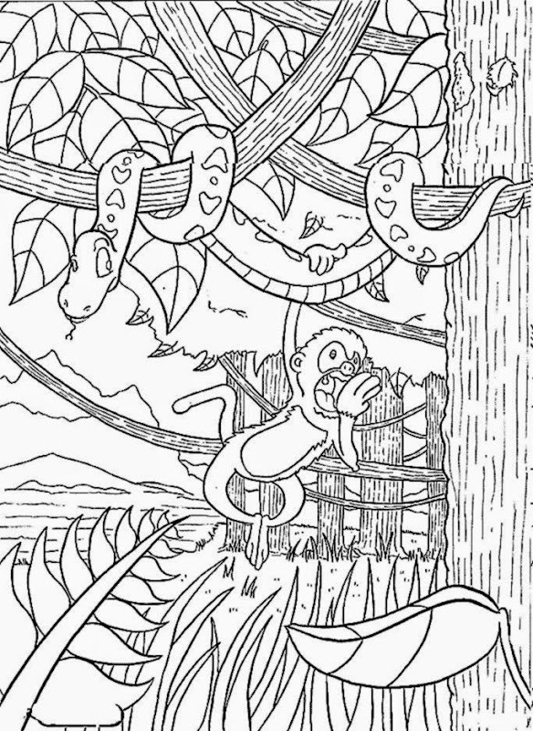 Rainforest Coloring Pages To Print Printable Tropical Free 584x800 Rainforest Coloring Pages To Print Printable Tropical Free