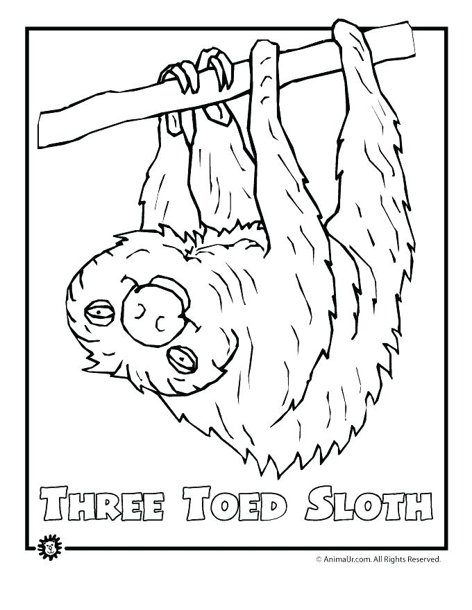 Rainforest Colouring Pages To Print Printable Coloring Pages 680x880 Rainforest Colouring Pages To Print Printable Coloring Pages