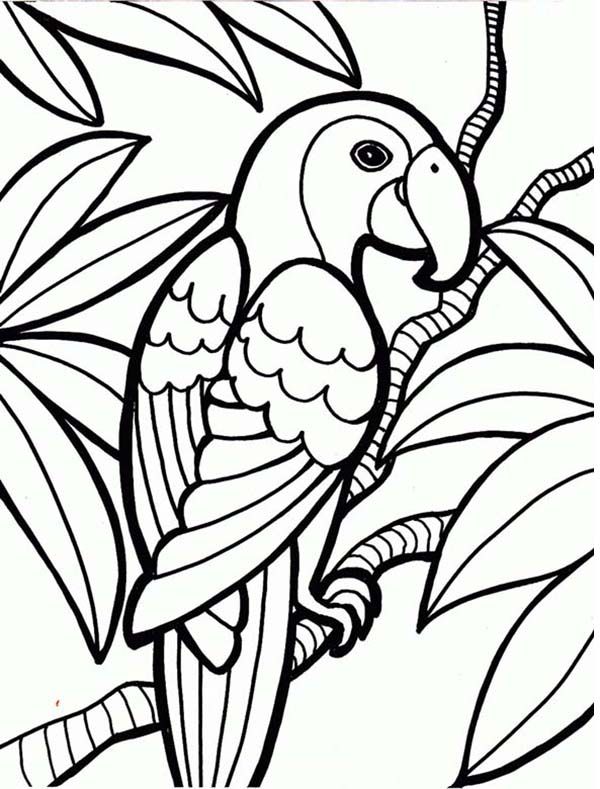 Rainforest White Faced Monkey Coloring Paper Prints 600x789 Rainforest White Faced Monkey Coloring Paper Prints