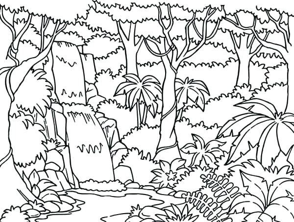 Enchanting Rainforest Coloring Page Coloring Pages Printable Rain 600x453 Enchanting Rainforest Coloring Page Coloring Pages Printable Rain